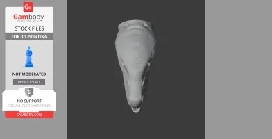 Top view of an Acheroraptor head model, textured for 3D printing.