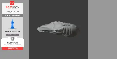 Acristavus - Prehistoric Animal STL