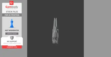 3D model of an Ophthalmosaurus skull viewed from the front for 3D printing.