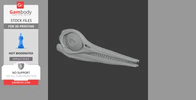 3D model of an Ophthalmosaurus skull, showcasing its elongated jaw and detailed teeth structure.