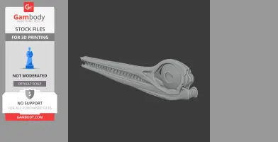 3D model of an Ophthalmosaurus skull, showcasing detailed bones and teeth for printing.
