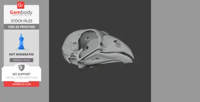 3D printed model of an Opisthocomus bird skull with detailed anatomical features.
