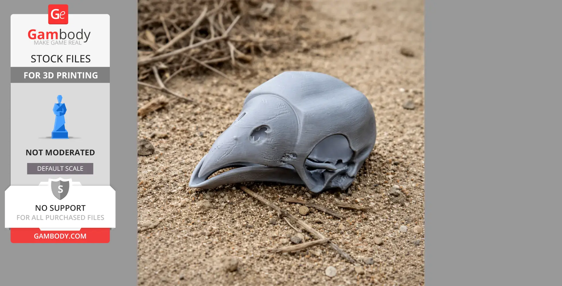 3D printed Opisthocomus skull replica on sandy ground.