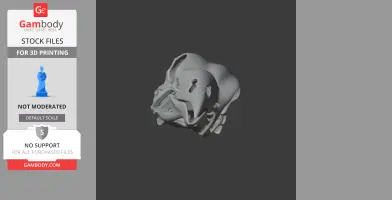 A detailed 3D model of an Opisthocomus bird skull on a dark background.