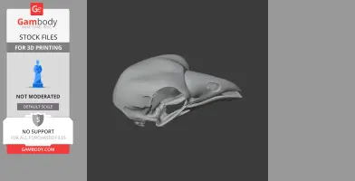 3D model of a bird skull, side view, defined beak and eye socket for printing.