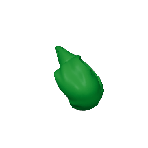Opisthocomus Skull.3mf