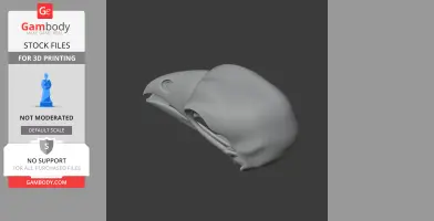 3D model of a bird skull, side view, featuring distinct beak and cranium structure.