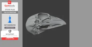 3D model of a bird skull with detailed bone structure, designed for 3D printing.