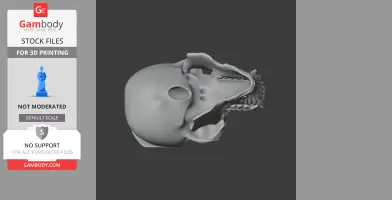 3D model of an orangutan skull, showing detailed bone structure from a side view.