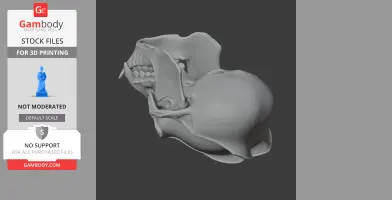 3D model of an orangutan skull replica, side view, for 3D printing on a gray background.