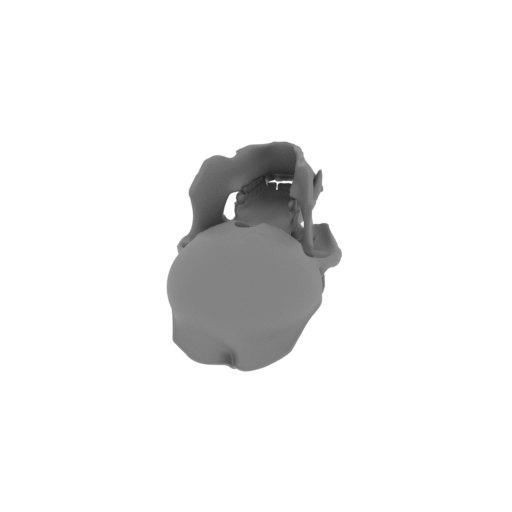 Orangutan Skull.stl