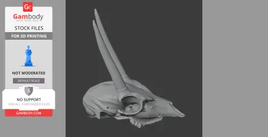 Oribi Skull - Skull Replica STL