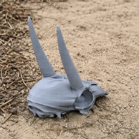 A 3D-printed Oribi skull replica with long, pointed horns resting on sandy ground.