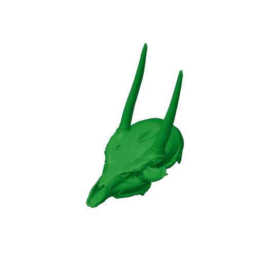 Oribi Skull.3mf
