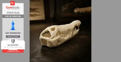 3D printed Orinoco crocodile skull replica displayed on a dark surface.