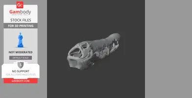 3D model of an Orinoco crocodile skull, angled view, showing detailed teeth and bone structure.