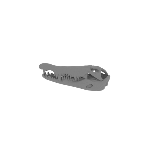 Orinoco Crocodile Skull.stl