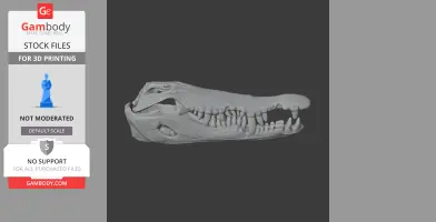 3D model of an Orinoco crocodile skull, depicted with detailed teeth and bone structure.