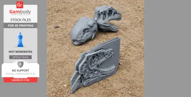 3D printed Ornatotholus skull replicas on sandy ground, including a flat relief version.