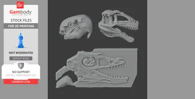 3D model of an Ornatotholus dinosaur skull, side and front views, designed for 3D printing.