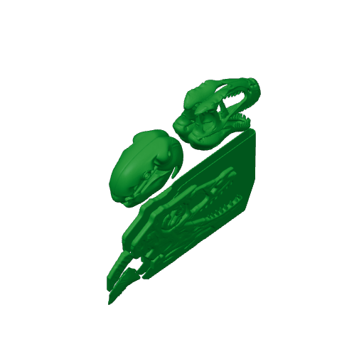 Ornatotholus Skull.3mf
