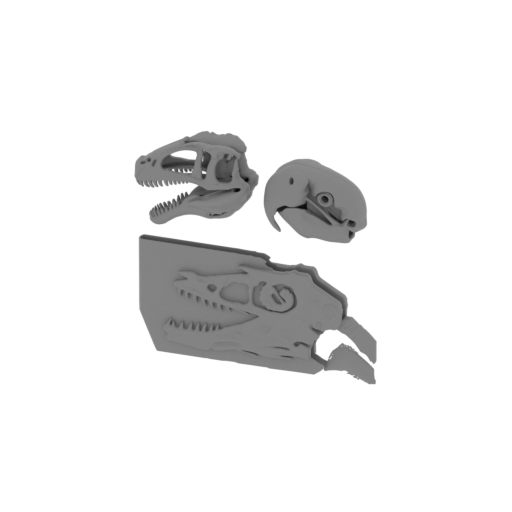 Ornatotholus Skull.stl