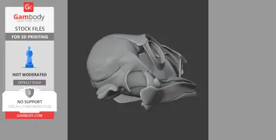 3D model of an Ornithotarsus skull for printing, shown in a side view.
