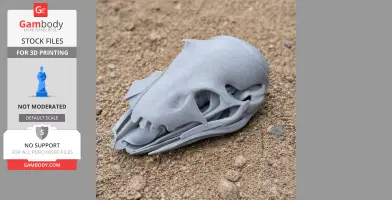 A detailed gray 3D-printed Ornithotarsus skull replica on sandy ground.