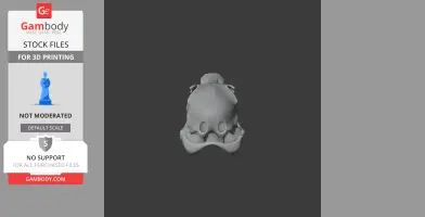 3D printable model of an Ostromia skull replica in gray, front view, for Gambody stock files.