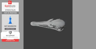 3D model of an Ostromia skull, showcasing intricate bone structure on a gray background.