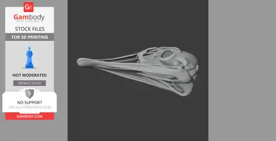 3D model of an Ostromia skull for 3D printing, shown in a side view.