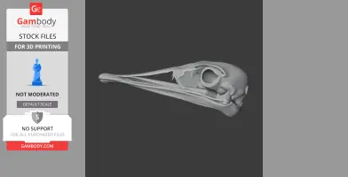 3D model of an Ostromia skull, showcasing detailed bone structure, viewed from the side.