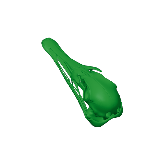 Ostromia Skull.3mf