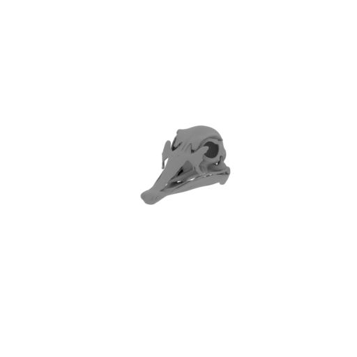 Ostromia Skull.stl