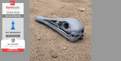 Gray 3D-printed Ostromia skull replica lying on sand.