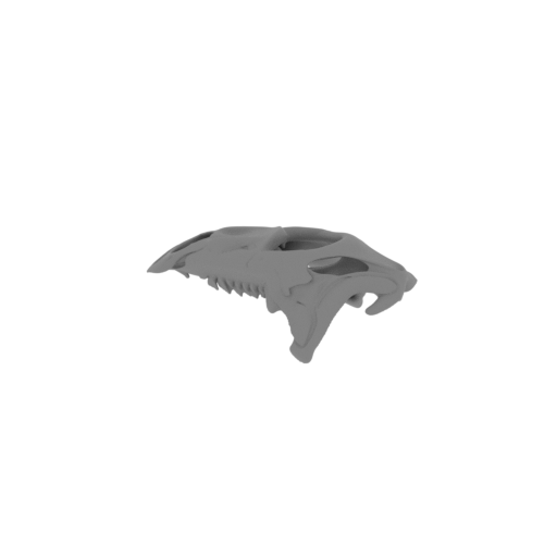 Othnielosaurus Skull.stl