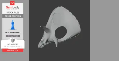 3D model of an Otogosaurus skull, showcasing intricate details and large fenestrae for printing.