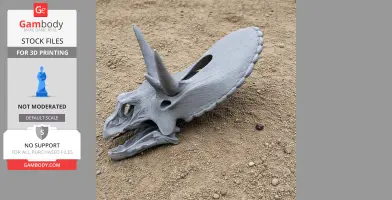 Gray 3D-printed Otogosaurus skull model displayed on sandy ground.