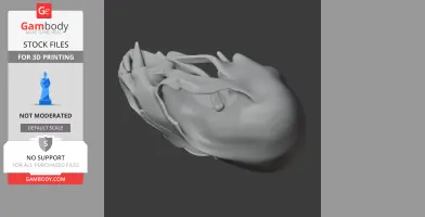 3D model of a European otter skull with detailed bone structures.