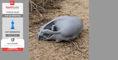 3D printed European otter skull replica placed on a sandy surface.