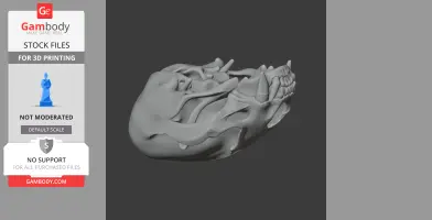 3D model of a European otter skull, detailed and ready for 3D printing.