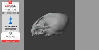 3D model of a European otter skull, side view, designed for 3D printing.