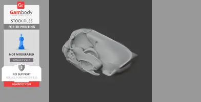 3D model of a detailed giant otter skull replica for 3D printing, displayed on a grey background.