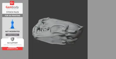 3D model of a giant otter skull replica, displayed in gray, for 3D printing.