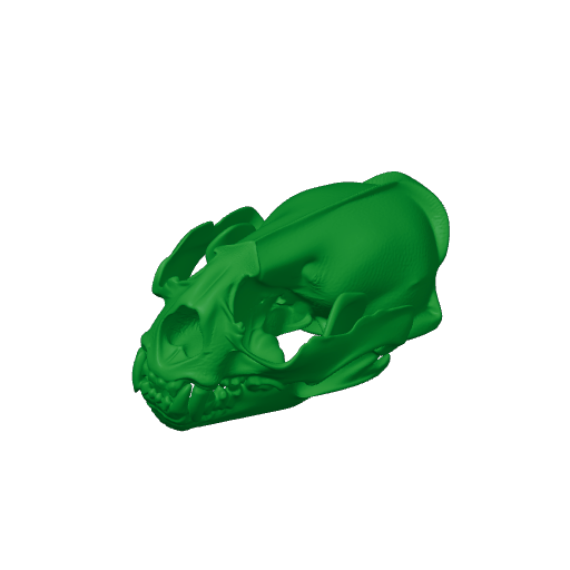 Otter (Giant) Skull.3mf
