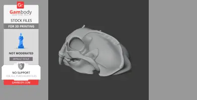3D model of a sea otter skull, showcasing detailed bone structures for 3D printing.