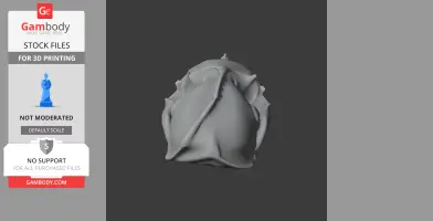 3D model of a sea otter skull replica, suitable for 3D printing.