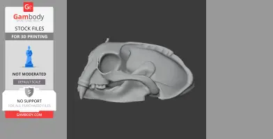 3D model of a detailed sea otter skull, shown from the side, designed for 3D printing.