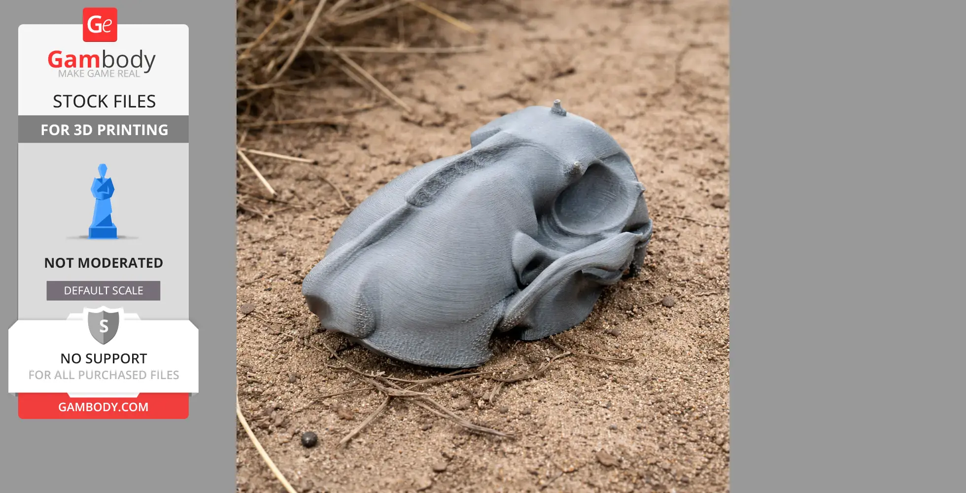 3D printed sea otter skull replica on sandy ground, showcasing intricate details.