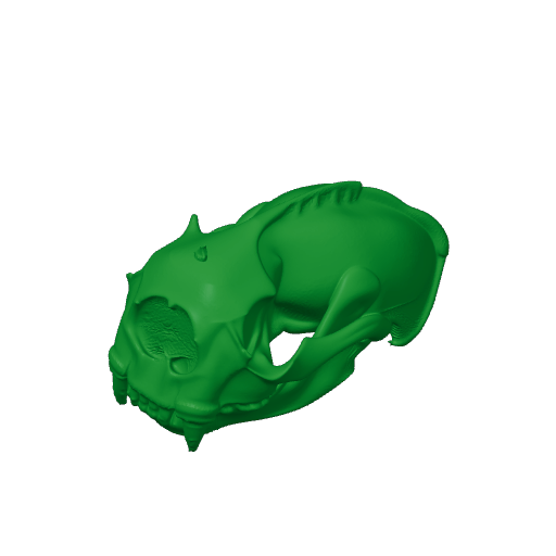 Otter (Sea) Skull.3mf